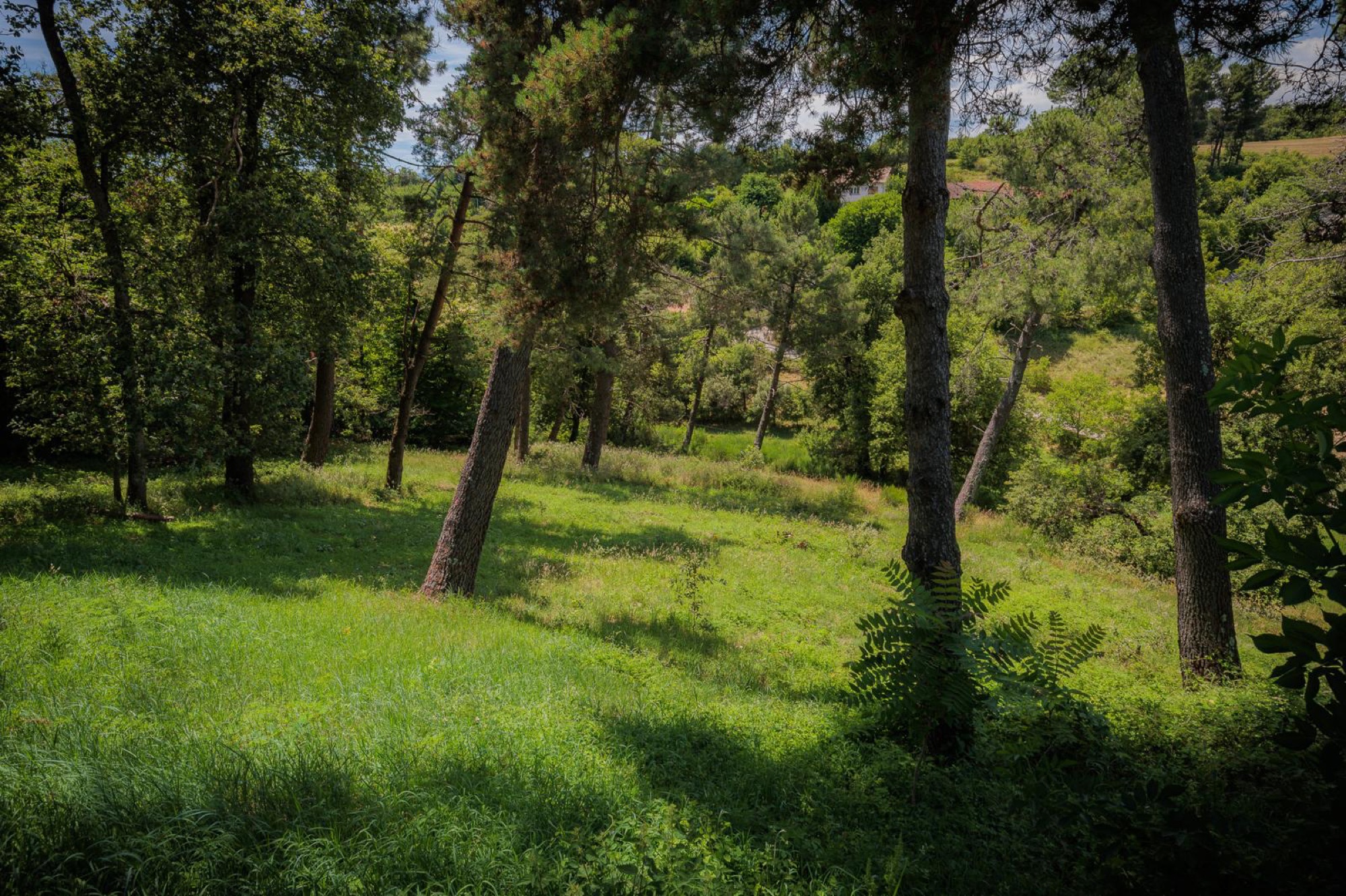 Extérieur de La Bergerie