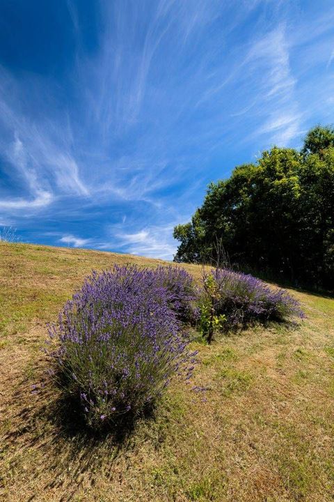 La Bergerie des Collines — photo 14